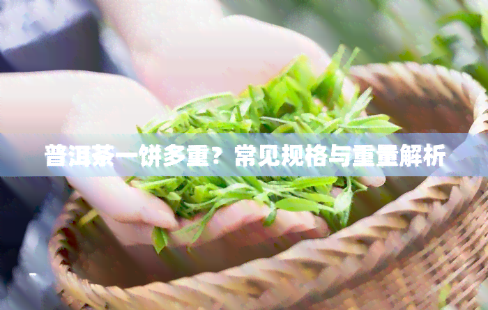 普洱茶一饼多重？常见规格与重量解析