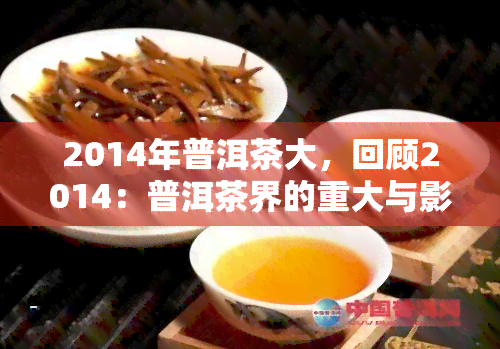 2014年普洱茶大，回顾2014：普洱茶界的重大与影响