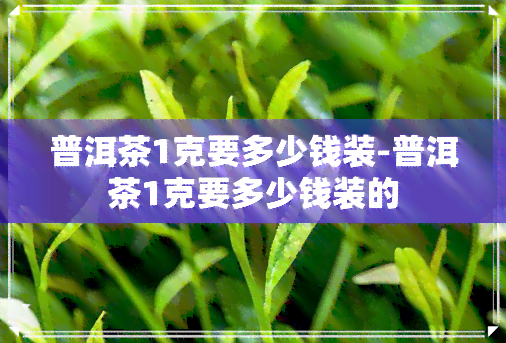 普洱茶1克要多少钱装-普洱茶1克要多少钱装的