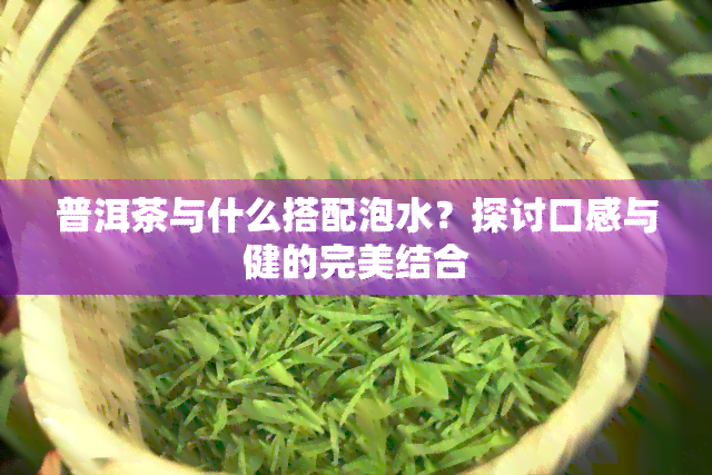 普洱茶与什么搭配泡水？探讨口感与健的完美结合