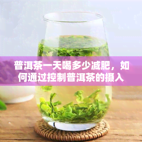 普洱茶一天喝多少减肥，如何通过控制普洱茶的摄入量实现减肥效果？