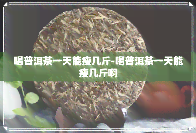 喝普洱茶一天能瘦几斤-喝普洱茶一天能瘦几斤啊