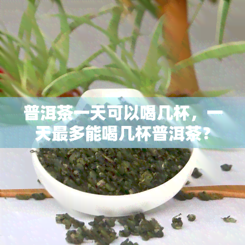 普洱茶一天可以喝几杯，一天最多能喝几杯普洱茶？