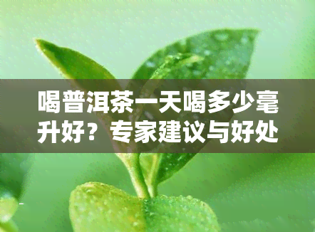 喝普洱茶一天喝多少毫升好？专家建议与好处解析