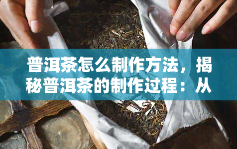 普洱茶怎么制作方法，揭秘普洱茶的制作过程：从采摘到发酵全解析