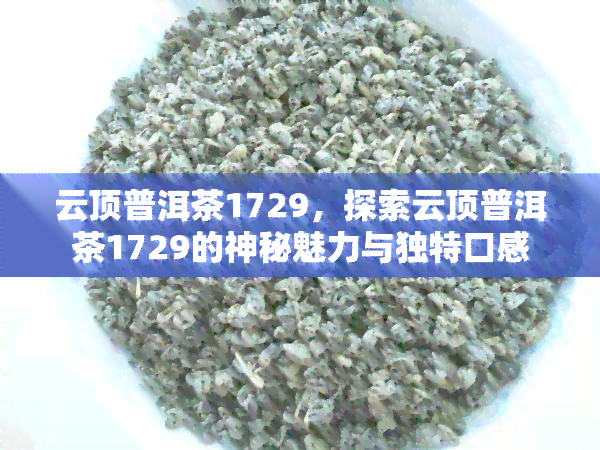 云顶普洱茶1729，探索云顶普洱茶1729的神秘魅力与独特口感