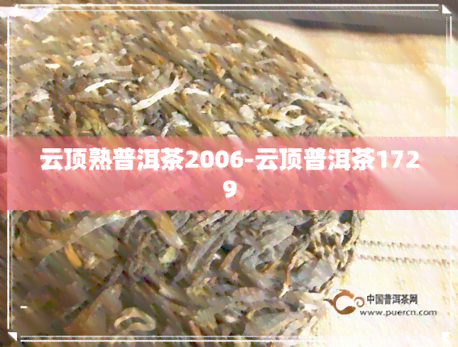 云顶熟普洱茶2006-云顶普洱茶1729