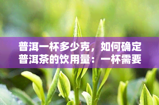 普洱一杯多少克，如何确定普洱茶的饮用量：一杯需要多少克？