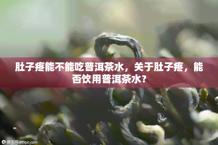 肚子疼能不能吃普洱茶水，关于肚子疼，能否饮用普洱茶水？