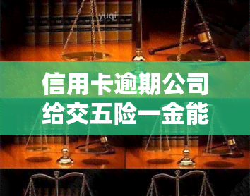 信用卡逾期公司给交五险一金能交上吗，信用卡逾期会影响公司为员工缴纳五险一金吗？