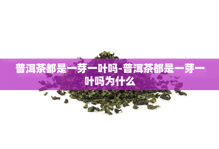 普洱茶都是一芽一叶吗-普洱茶都是一芽一叶吗为什么