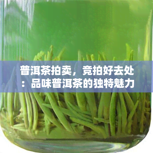 普洱茶拍卖，竞拍好去处：品味普洱茶的独特魅力