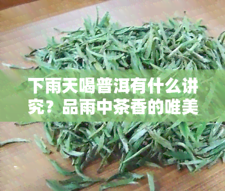 下雨天喝普洱有什么讲究？品雨中茶香的唯美时刻