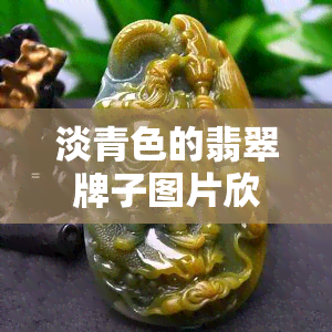 淡青色的翡翠牌子图片欣赏，美轮美奂！欣赏淡青色翡翠牌子的高清图片