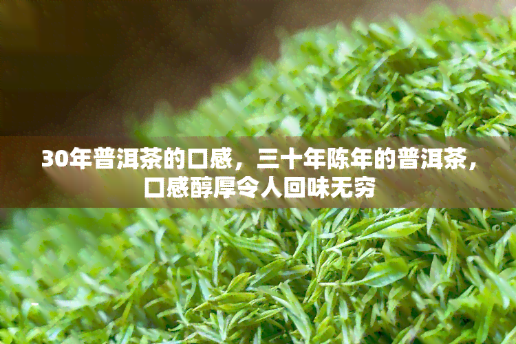 30年普洱茶的口感，三十年陈年的普洱茶，口感醇厚令人回味无穷