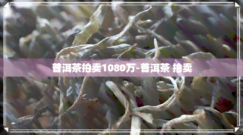 普洱茶拍卖1080万-普洱茶 拍卖