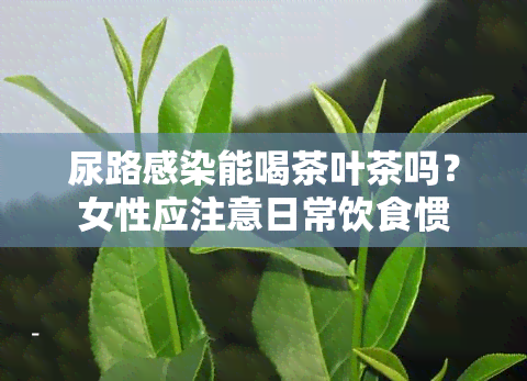 尿路感染能喝茶叶茶吗？女性应注意日常饮食惯