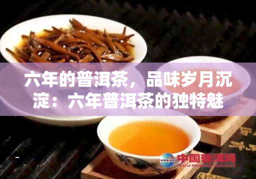 六年的普洱茶，品味岁月沉淀：六年普洱茶的独特魅力