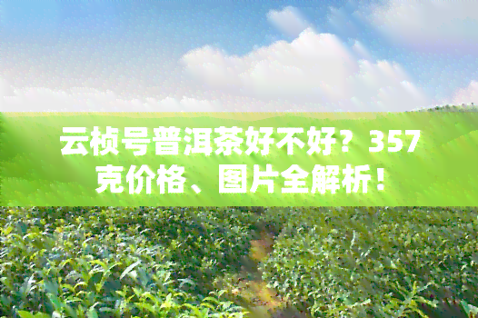 云桢号普洱茶好不好？357克价格、图片全解析！