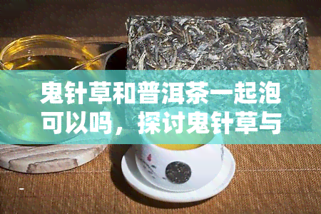 鬼针草和普洱茶一起泡可以吗，探讨鬼针草与普洱茶的搭配效果：是否适合一起冲泡？