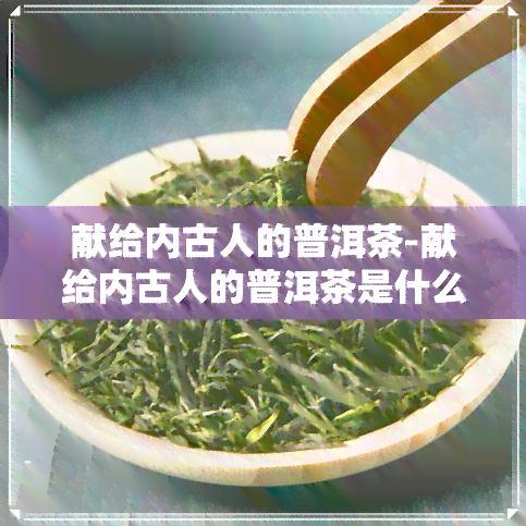 献给内古人的普洱茶-献给内古人的普洱茶是什么茶