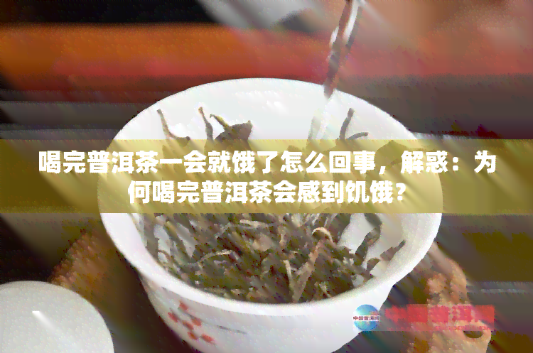 喝完普洱茶一会就饿了怎么回事，解惑：为何喝完普洱茶会感到饥饿？