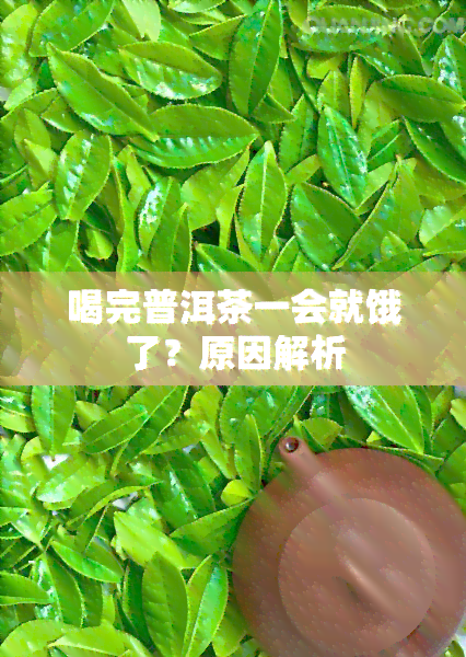 喝完普洱茶一会就饿了？原因解析