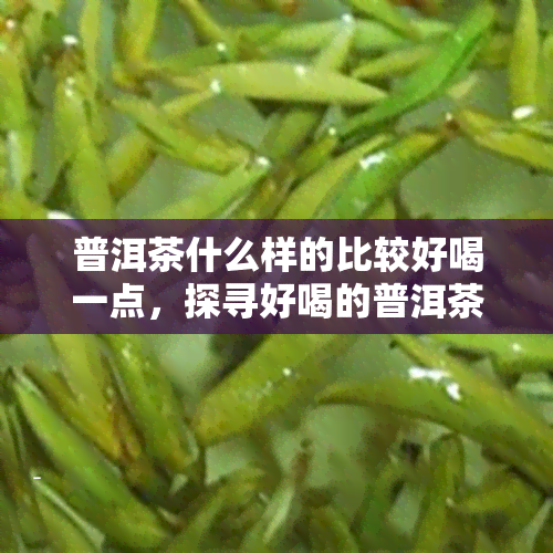 普洱茶什么样的比较好喝一点，探寻好喝的普洱茶：品种、产地与口感解析