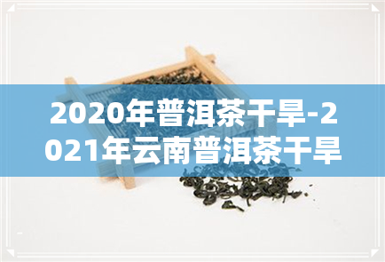 2020年普洱茶干旱-2021年云南普洱茶干旱减产