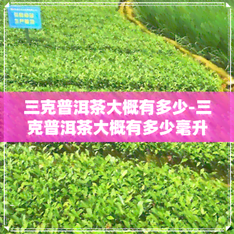 三克普洱茶大概有多少-三克普洱茶大概有多少毫升