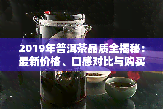 2019年普洱茶品质全揭秘：最新价格、口感对比与购买建议