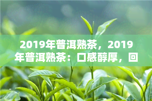 2019年普洱熟茶，2019年普洱熟茶：口感醇厚，回味悠长的茶中瑰宝