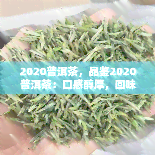 2020普洱茶，品鉴2020普洱茶：口感醇厚，回味悠长