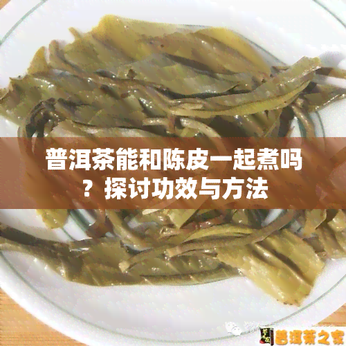 普洱茶能和陈皮一起煮吗？探讨功效与方法