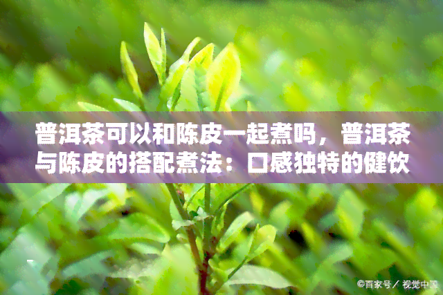 普洱茶可以和陈皮一起煮吗，普洱茶与陈皮的搭配煮法：口感独特的健饮品