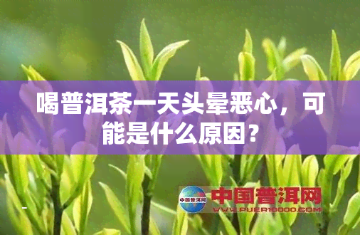 喝普洱茶一天头晕恶心，可能是什么原因？