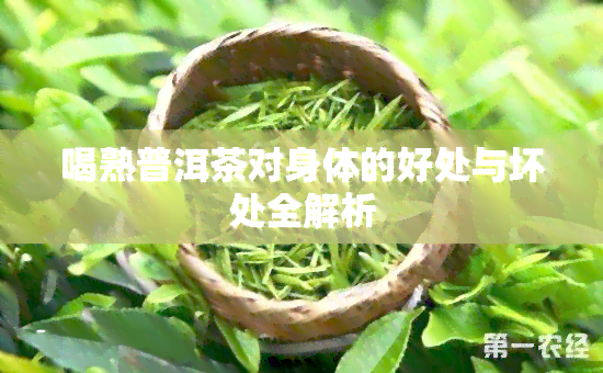 喝熟普洱茶对身体的好处与坏处全解析