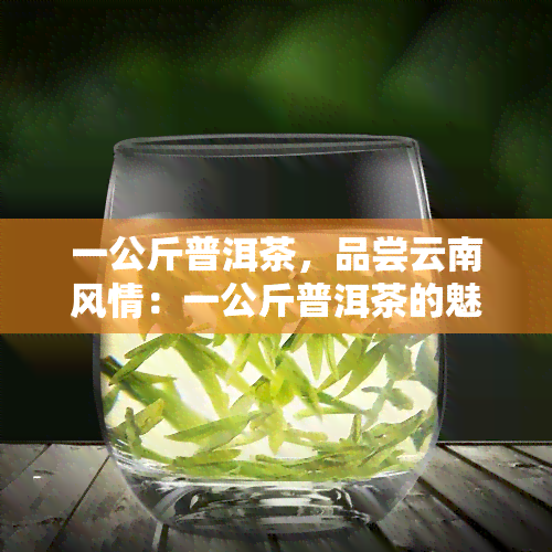 一公斤普洱茶，品尝云南风情：一公斤普洱茶的魅力探索