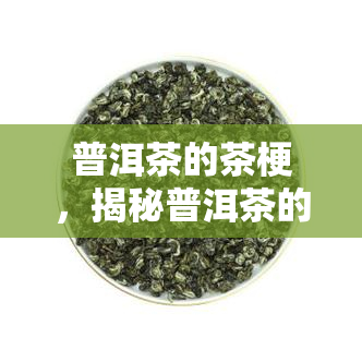 普洱茶的茶梗，揭秘普洱茶的茶梗：其在制作过程中的重要作用与特点