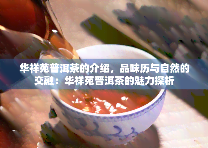 华祥苑普洱茶的介绍，品味历与自然的交融：华祥苑普洱茶的魅力探析