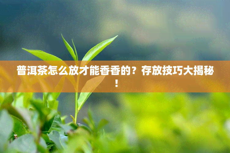 普洱茶怎么放才能香香的？存放技巧大揭秘！