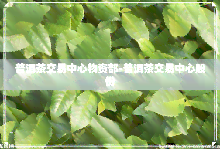 普洱茶交易中心物资部-普洱茶交易中心股份