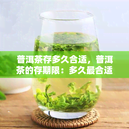 普洱茶存多久合适，普洱茶的存期限：多久最合适？