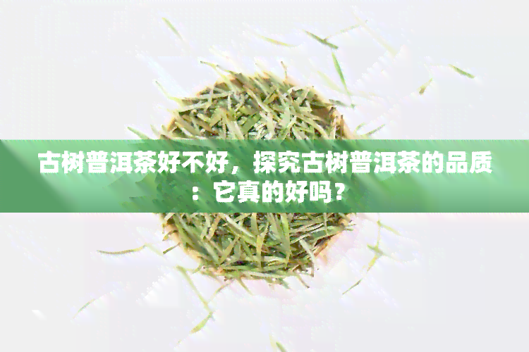 古树普洱茶好不好，探究古树普洱茶的品质：它真的好吗？