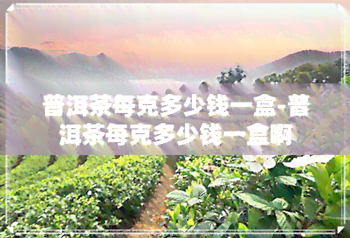 普洱茶每克多少钱一盒-普洱茶每克多少钱一盒啊