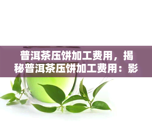 普洱茶压饼加工费用，揭秘普洱茶压饼加工费用：影响价格的因素有哪些？