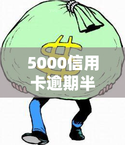 5000信用卡逾期半年会怎么样，信用卡逾期半年，欠款5000元将面临哪些后果？