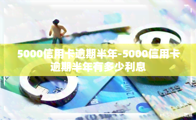 5000信用卡逾期半年-5000信用卡逾期半年有多少利息