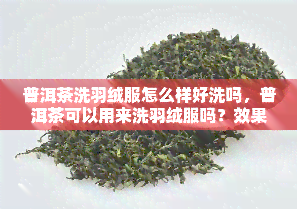 普洱茶洗羽绒服怎么样好洗吗，普洱茶可以用来洗羽绒服吗？效果如何，是否容易清洗？