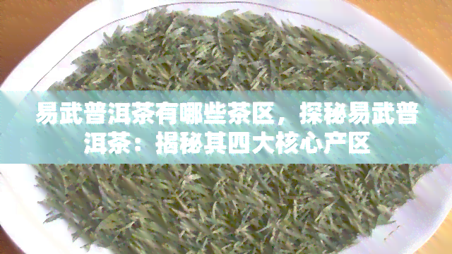 易武普洱茶有哪些茶区，探秘易武普洱茶：揭秘其四大核心产区